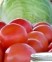 Calendar for Wimberley & Hill Country Market Days & Farmers Markets