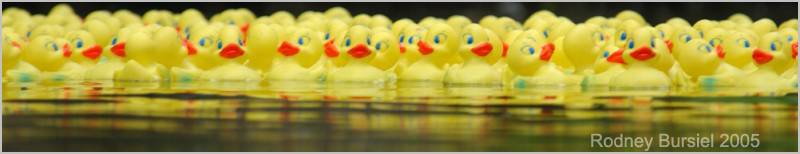 Rodney Bursiel Photo 2005