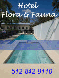 Click to visit