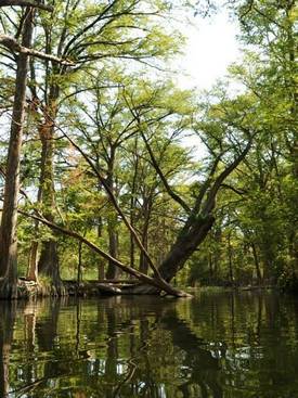 Blue Hole Regional Park