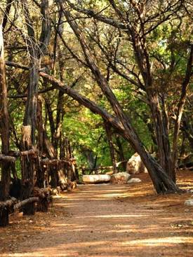 Blue Hole Regional Park