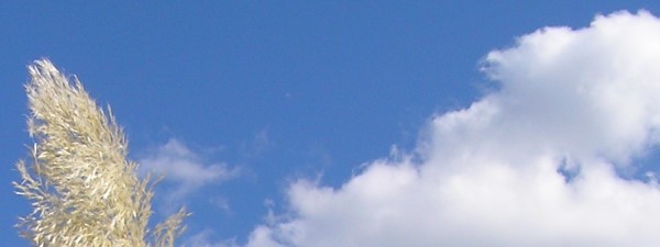 summer sky
