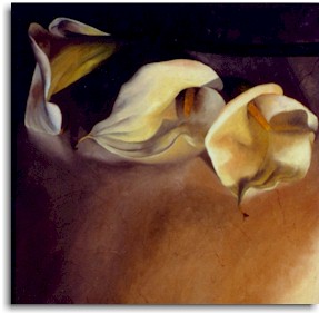 Three Calla Lillies