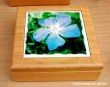 Original photographs on tile - boxes