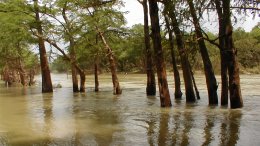 Muddy waters in the Blanco